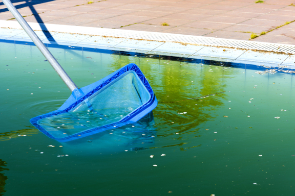 eau piscine verte