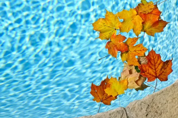 feuilles
