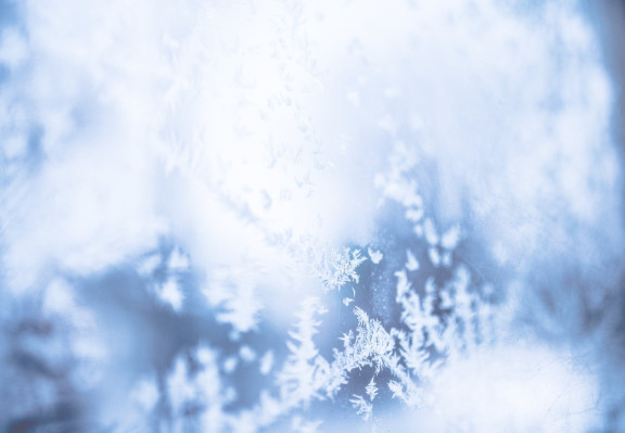 visuel hivernal